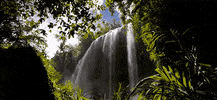 beauty waterfall GIF by Jerology