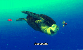 finding nemo turtle GIF