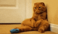 Im Gonna Miss Him So Much Gifs Get The Best Gif On Giphy