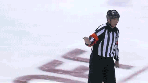 Image result for Hockey Ref gif