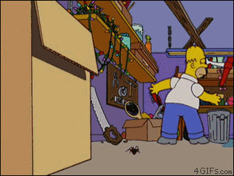 Image result for homer and spider gif