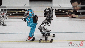 wrestling robots GIF by Digg