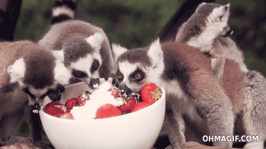 Strawberries And Cream Eating GIF