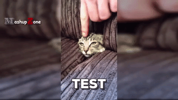 Wham  GIF