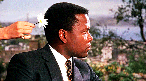 classic film flower GIF