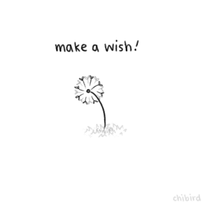 Wish GIF - Find & Share on GIPHY
