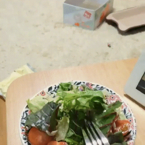 salad GIF