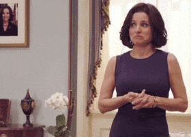 try it selina meyer GIF