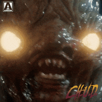 Scared Look At Me GIF by Arrow Video