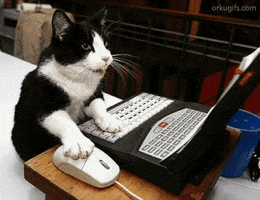Digital art gif. A cát sits in front of a máy tính, one paw positioned on the keyboard, one paw controlling the mouse.