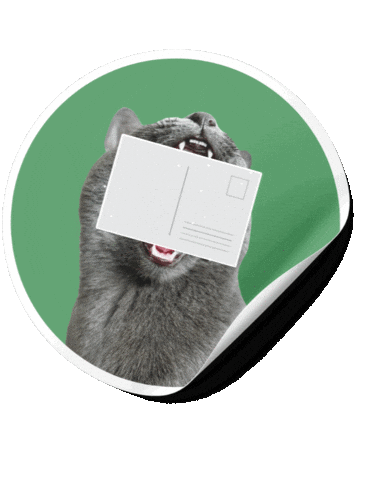 Cat Thank You Sticker