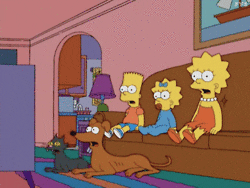 The Simpsons Jaw Drop GIF - Find & Share on GIPHY
