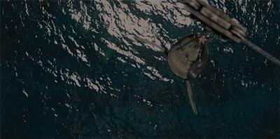 Jurassic Park Dinosaurs GIF by Digg
