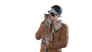 Ppp Ruleta Rusa Sticker by Kevin Roldan