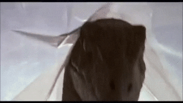  kim mfw im gynecologist GIF