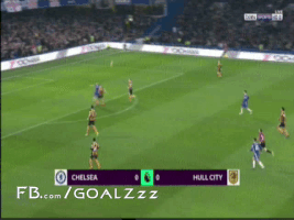 naderibrahim  GIF