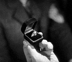 fred c newmeyer ring GIF by Maudit