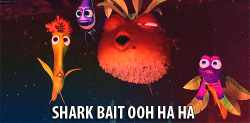 Shark Bait Ooh Ha Ha Gif