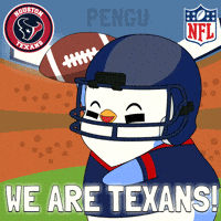 Game Day Football GIF by Pudgy Penguins