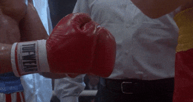 Sylvester Stallone Boxing GIF