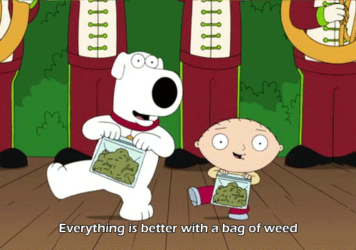 Family Guy Weed GIF - Find & Share on GIPHY