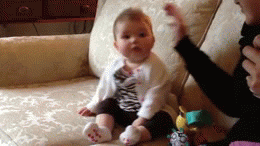 Video gif. Baby sits on a couch and starts to wiggle-dance, next to an adult doing something similar.