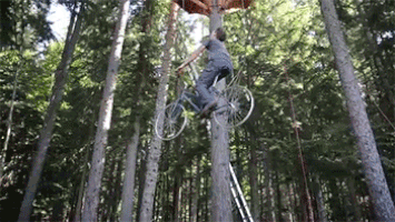 Treehouse GIFs - Find & Share on GIPHY