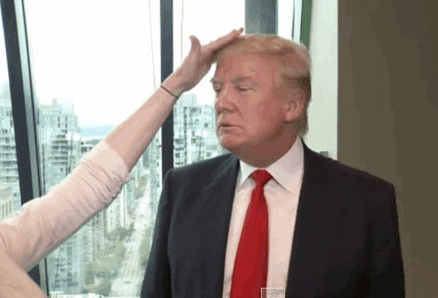 Donald Trump GIF - Find & Share on GIPHY