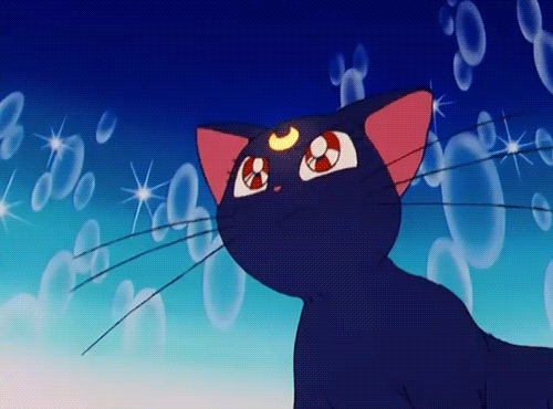 Sailor Moon Luna GIF - Find & Share on GIPHY