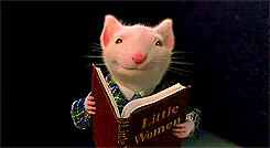 Image result for photos funny mice reading gif