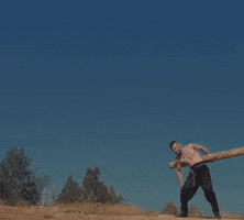 logs russians GIF