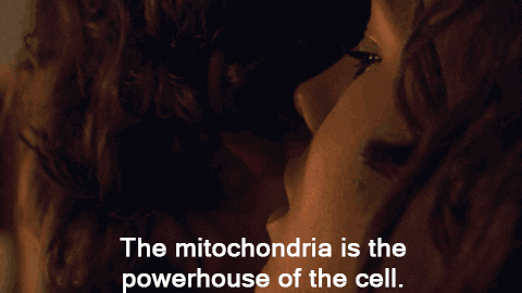 mitochondria meme gif