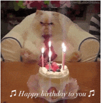 Funny-birthday GIFs - Get the best GIF on GIPHY Funny-birthday GIFs - Get the best GIF on GIPHY