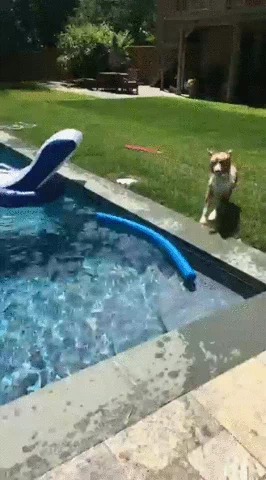 cannonball GIF