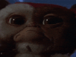 Gremlins 2 GIFs - Find & Share on GIPHY