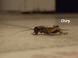 200_s.gif