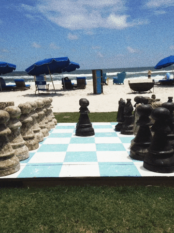 chess hangout fest GIF by mtv