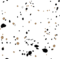 Nvision Hair Studio Sticker