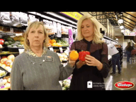 katiemariefiscus  GIF