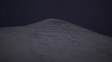Svalbard GIF by NRK