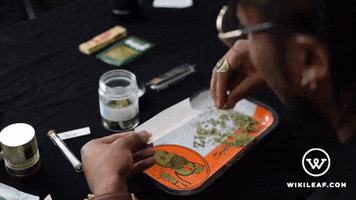 weed roll joint GIF by Wikileaf.com