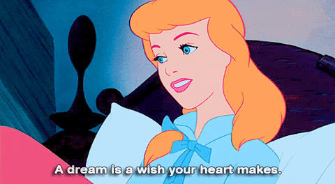 A Dream Is A Wish Your Heart Makes Love GIF - Find & Share on GIPHY