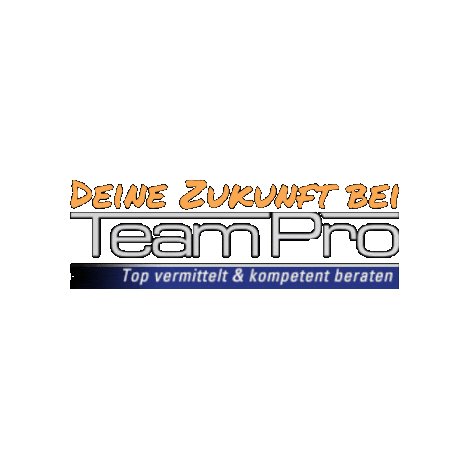 TeamProPersonaldienstleister Sticker