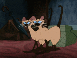 lady and the tramp cat GIF