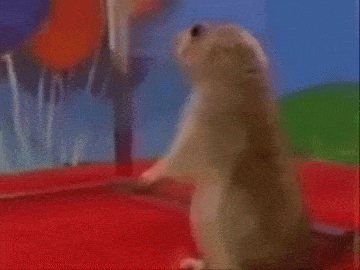giphy.gif