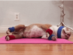 giphy.gif?cid=4d1e4f29418bfc64b70747dc93bdb954fb4011ad654f7e2e&rid=giphy.gif