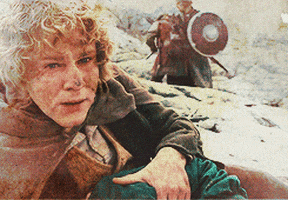 sad the lord of the rings GIF