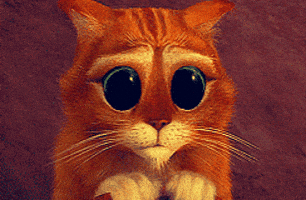 Shrek Cat Gifs Get The Best Gif On Giphy