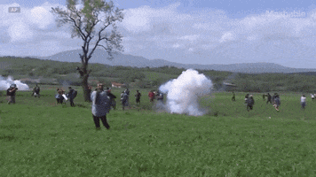 amandawills  GIF