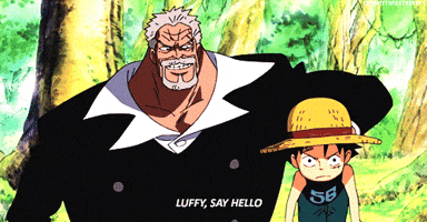 One Piece Hentai GIFs - Find & Share on GIPHY